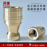公司簡介